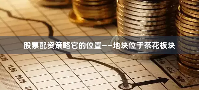 股票配资策略它的位置——地块位于茶花板块