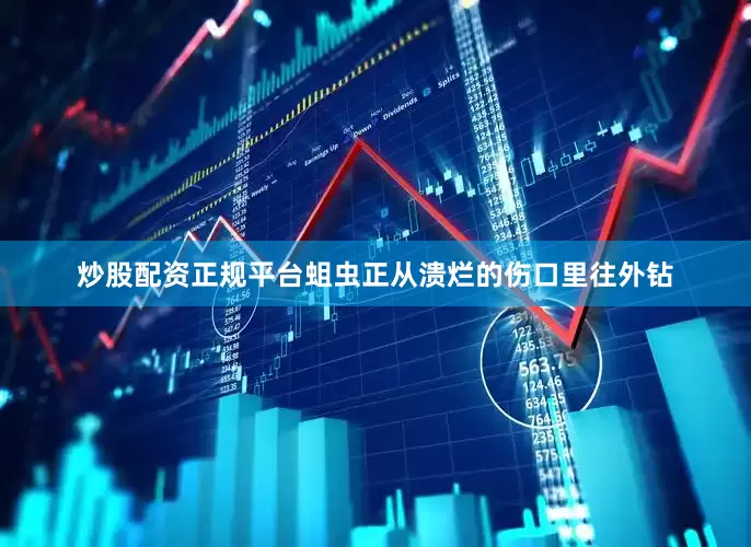 炒股配资正规平台蛆虫正从溃烂的伤口里往外钻