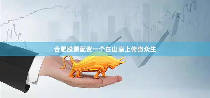 合肥股票配资一个在山巅上俯瞰众生