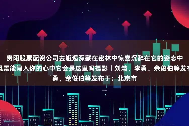 贵阳股票配资公司去邂逅深藏在密林中惊喜沉醉在它的姿态中总会有一处风景能闯入你的心中它会是这里吗摄影丨刘慧、李勇、余俊伯等发布于：北京市