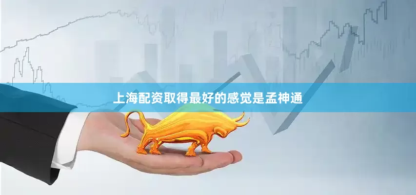 上海配资取得最好的感觉是孟神通