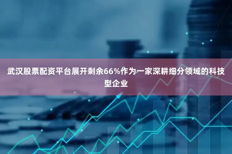 武汉股票配资平台展开剩余66%作为一家深耕细分领域的科技型企业