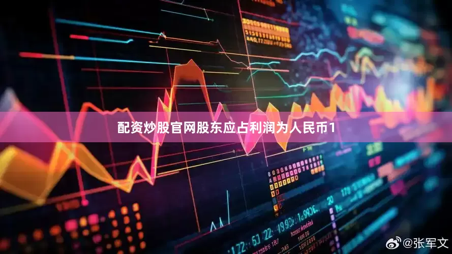 配资炒股官网股东应占利润为人民币1